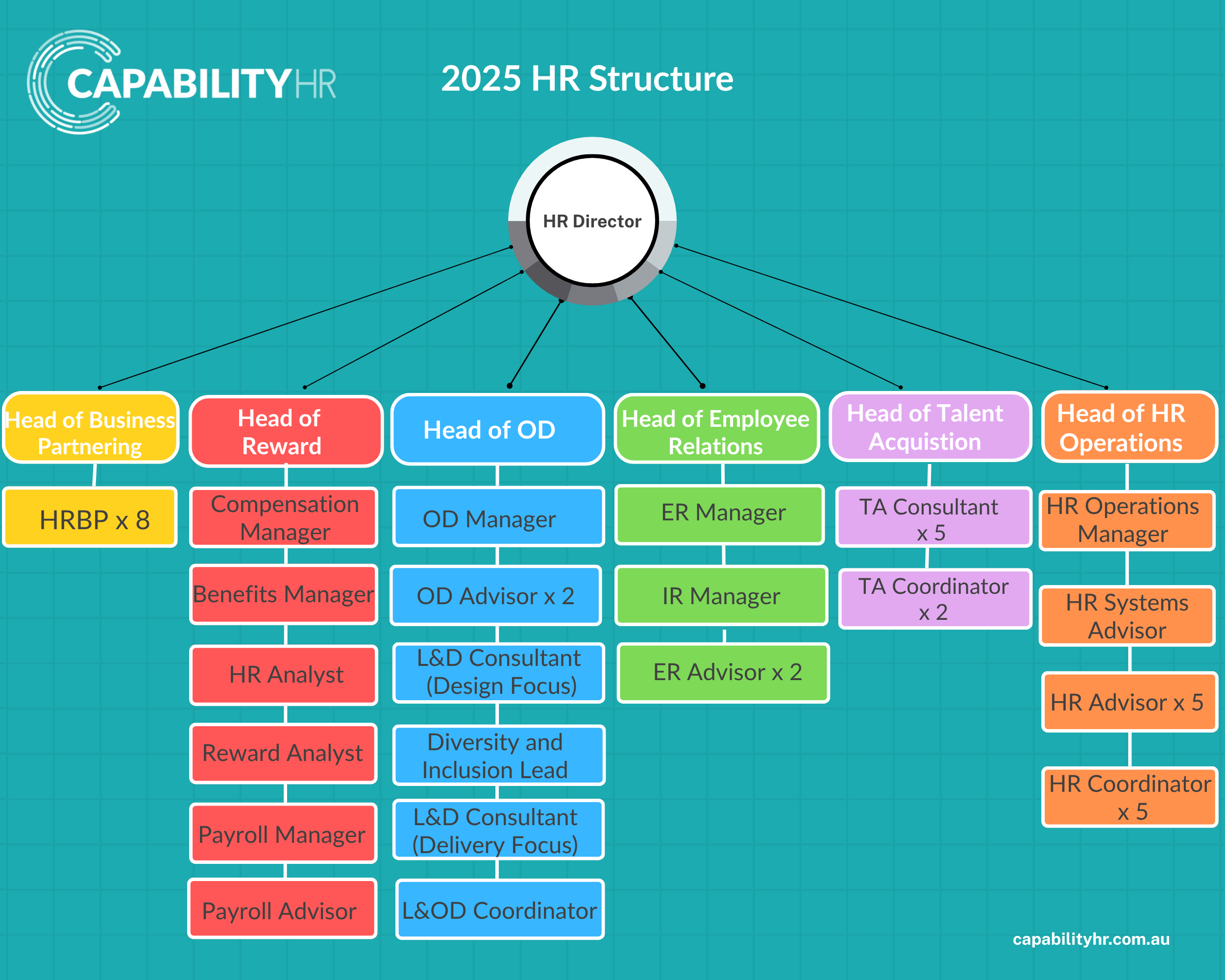 揭秘——2030未来的人力资源架构！